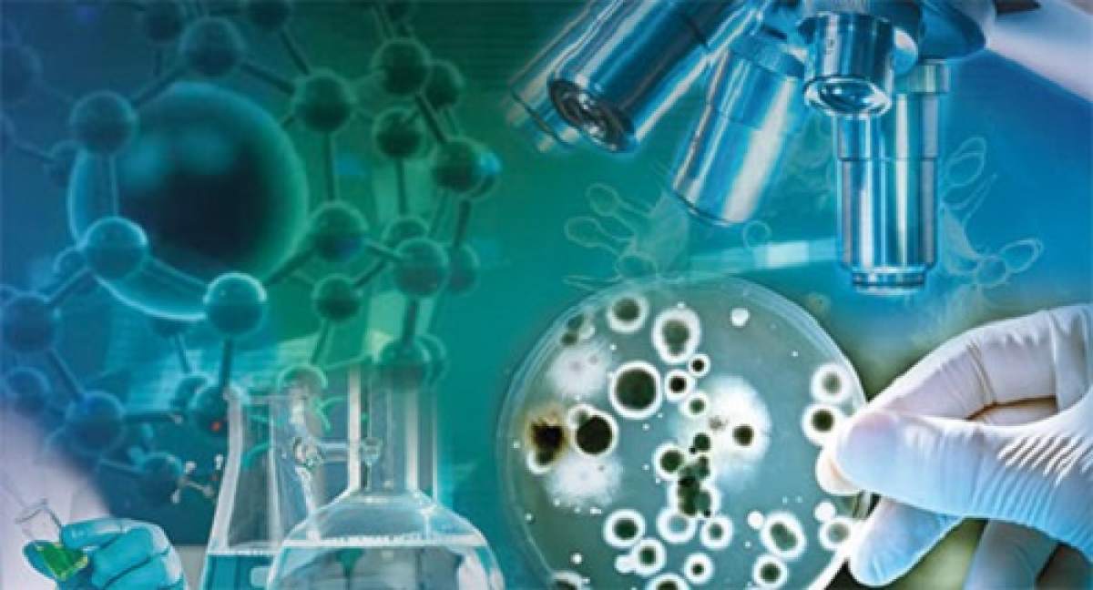 Microbiology Student Internship Microbiology Student Internship