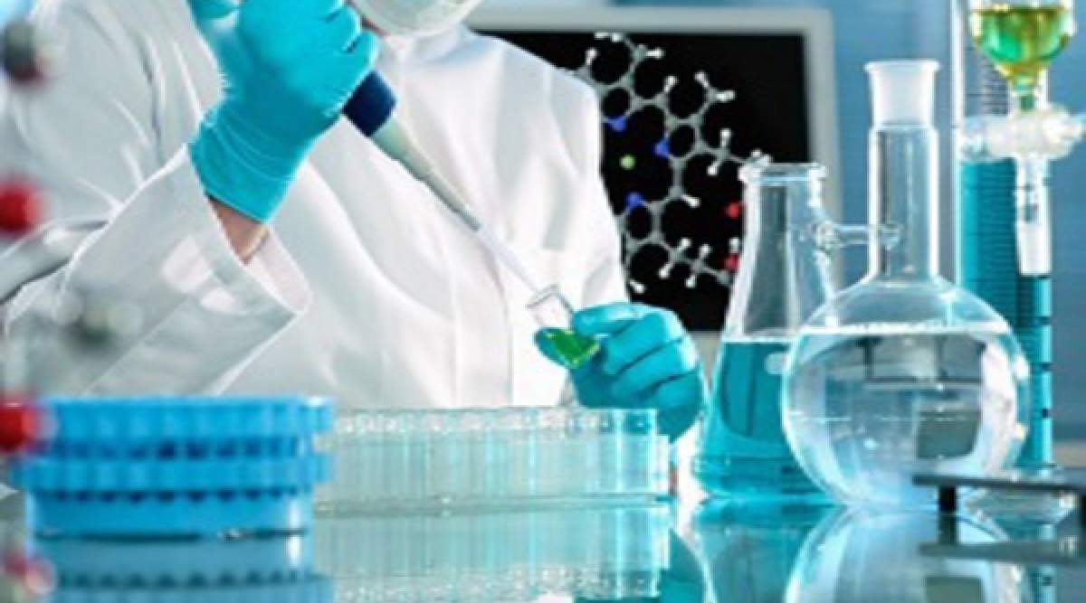 Microbiology Student Internship Microbiology Student Internship