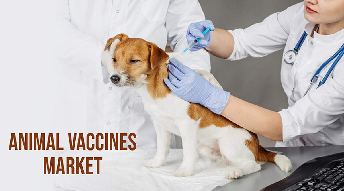 Animal Vaccines Market report includes size, growth, trends and